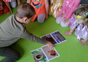 Dziewczynka i chłopiec dobierają obrazki na dywanie.